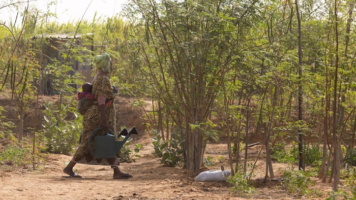 Une femme marche près d'arbres au Sénégal.