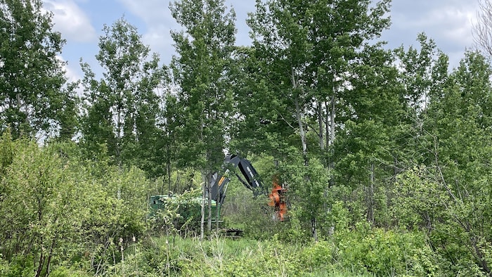 De la machinerie lourde travaille en forêt.