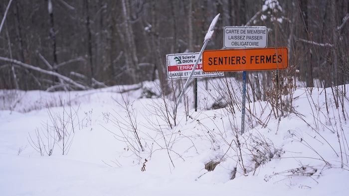 Un sentier de motoneige fermé sur le terrain de la scierie Dion.