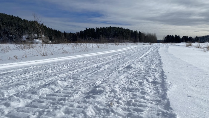 Des traces de motoneige dans la neige.