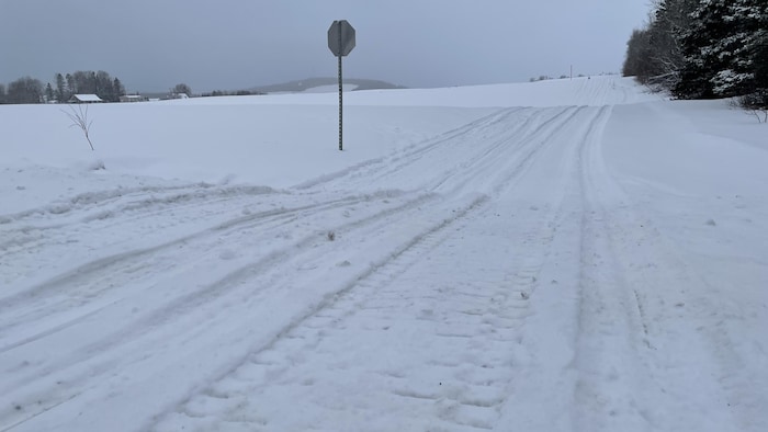 Un sentier de motoneige fermé car il n'y a pas assez de neige au sol.