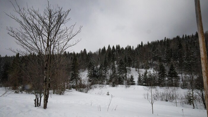 Une parcelle des Sentiers du Moulin durant l'hiver
