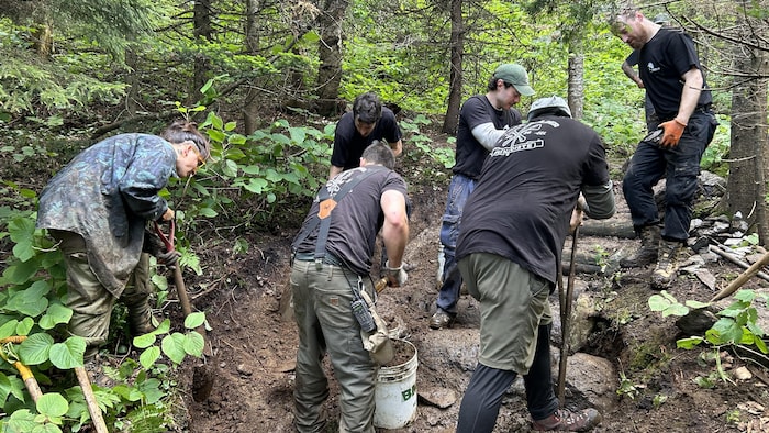 Des aménagistes travaillent sur un sentier pédestre.