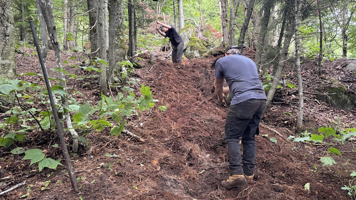 Deux personnes en train de travailler sur les sentiers de vélo de montagne. 