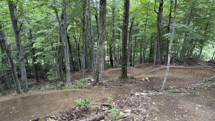 Des sentiers de vélo de montagne au cœur d'une forêt. 