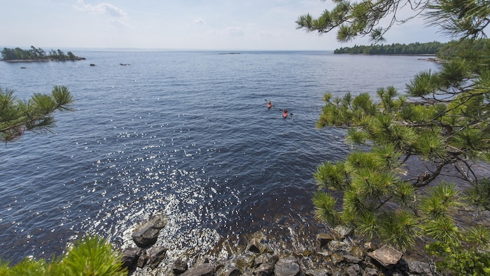 Des kayakistes pagaient sur un lac.