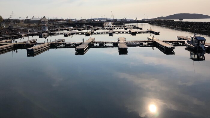 Les prévisions météorologiques du vendredi 10 juillet 2020 au Havre