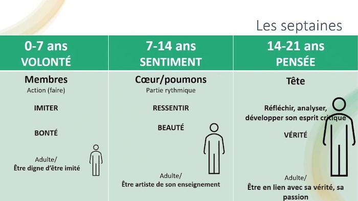 Dans cette diapositive tirée d'une présentation aux parents lors de la période d'inscription, l'école indique sa vision des parties du corps qui sont en croissance, les aspects importants à développer et le rôle de l'adulte pour chaque septaine.