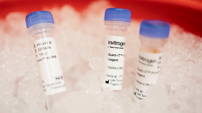 Trois éprouvettes plantées dans de la glace.