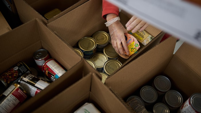 Volunteers sort and pack food donations at the Daily Bread Food Bank’s spring public food sort in Toronto, on Saturday, April 4, 2026. THE CANADIAN PRESS/Sammy Kogan
