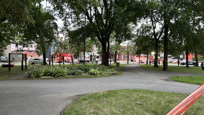 Des camions de pompier et des ambulances sur une rue près d'un parc.