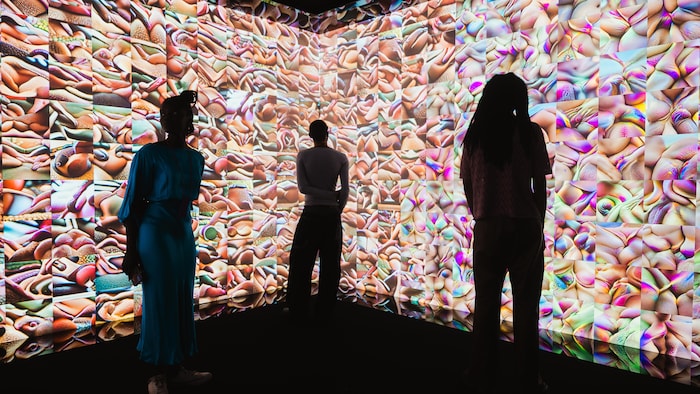 On voit des silhouettes dans l'ombre devant un mur d'images vaguement pornographiques.