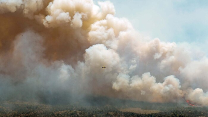 Vue aérienne du feu de forêt dans le comté de Shelburne, en Nouvelle-Écosse. 