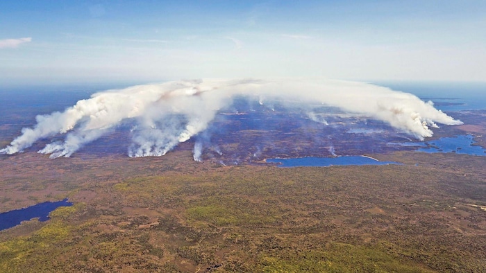 Vue aérienne des feux de forêt dans le comté de Shelburne, en Nouvelle-Écosse.