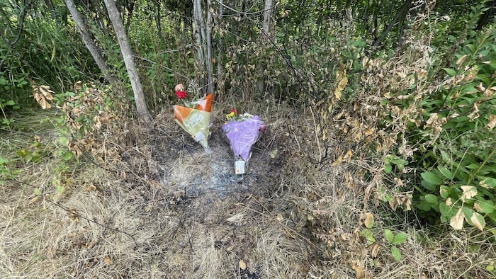 People have left flowers near the location where the woman's body was first found.