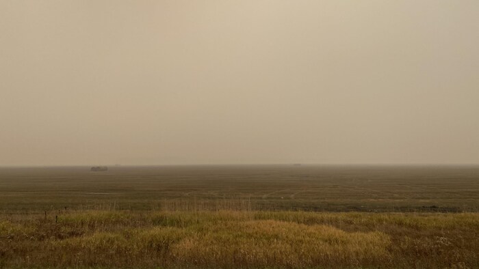 Une zone rurale de la Saskatchewan où la fumée provoque une mauvaise qualité de l'air.