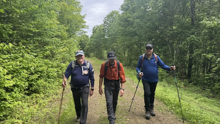 Trois hommes marchent en tenue de randonnée sur un sentier forestier.