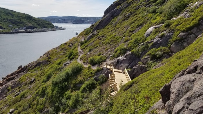 Le sentier du Cap-Nord, à Signal Hill, est à flanc de falaise et se termine dans l'océan.