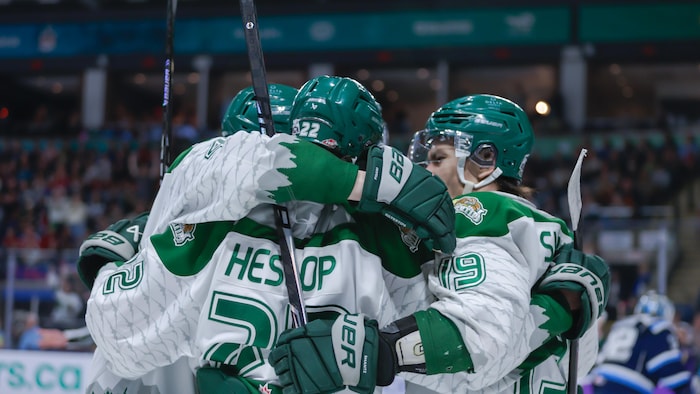 Des joueurs de hockey célèbrent après un but. 