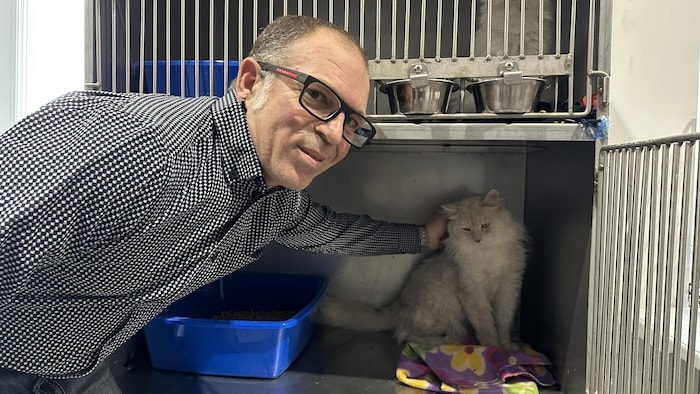 Un homme flatte un chat dans une cage.
