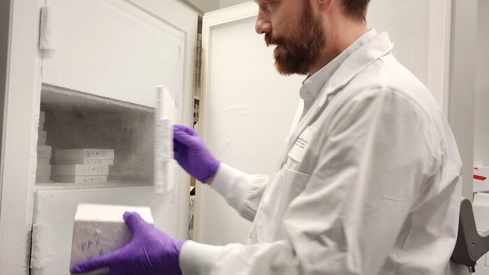 Un homme sort une boîte d'échantillons d'un gros congélateur.