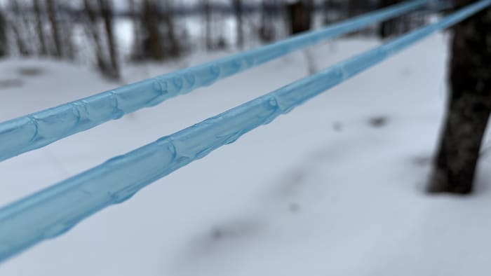 Plan rapproché sur un tube par lequel s'écoule la sève d'érable. 