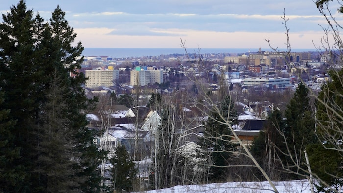 La ville de Rimouski à travers les arbres.