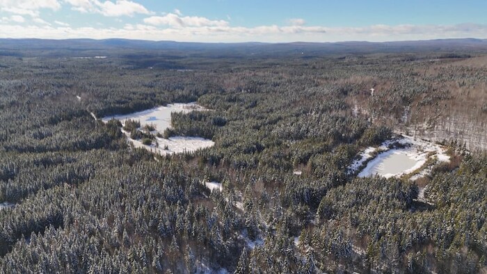 Des lacs gelés entourés de forêts à perte de vue. 
