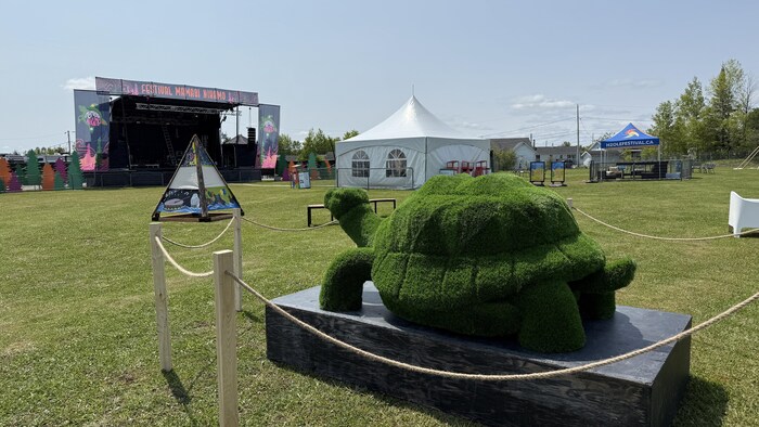Une tortue en gazon au milieu d'un terrain. 