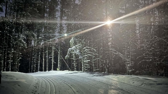 Un sentier de ski de fond en forêt éclairé par un lampadaire.