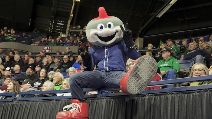 La mascotte de Curling Canada, Slider, assise dans la foule au centre Brandt.                 