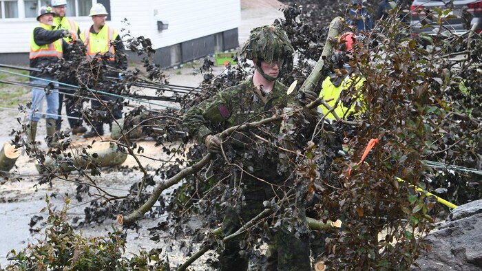 Le soldat retire une branche d'arbre de la rue.