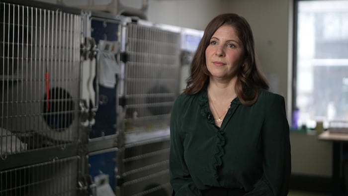 Sophie Gaillard se présente devant la caméra dans un local où plusieurs cages sont installées.