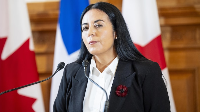 Soraya Martinez Ferrada addressing journalists.