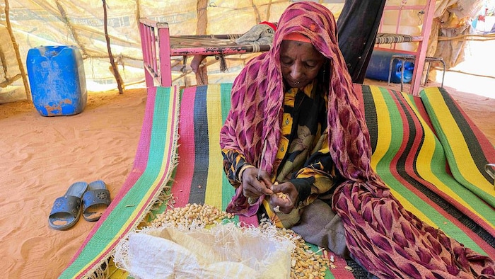 Une femme assise au sol épluche des haricots.