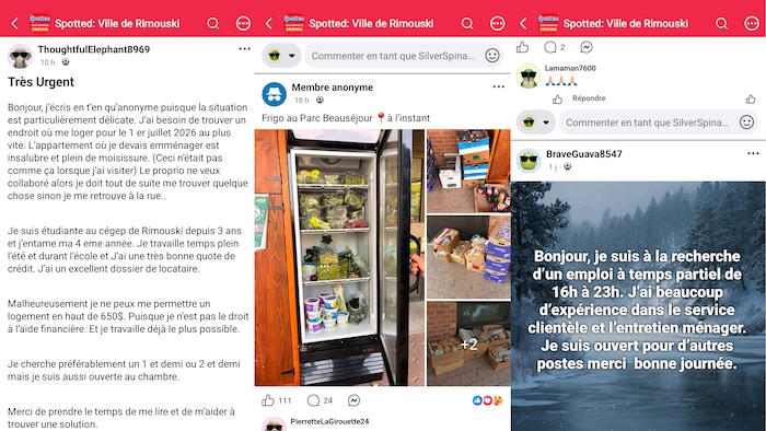 Des publications demandent de l'aide pour trouver un logement et un emploi. Une autre propose de la nourriture.