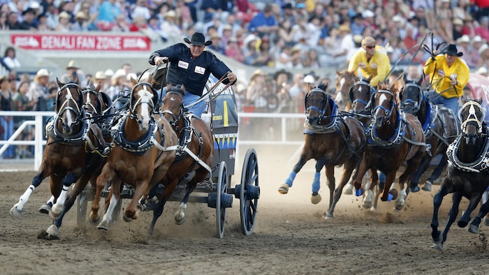 Une course de chariot lors du Stampede de 2012