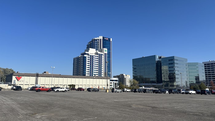 Un stationnement situé derrière un magasin Canadian Tire.