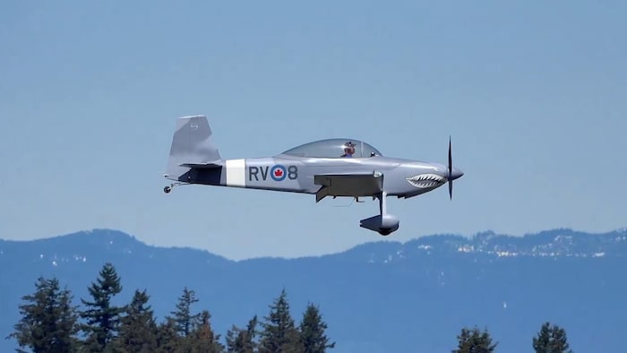 Un avion en vol.