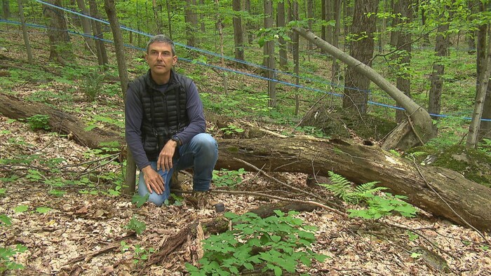 Un homme dans la forêt.