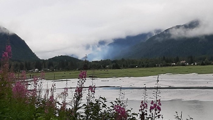 Un paysage bucolique de rivières, de paturages et de montagnes sous un ciel gris.