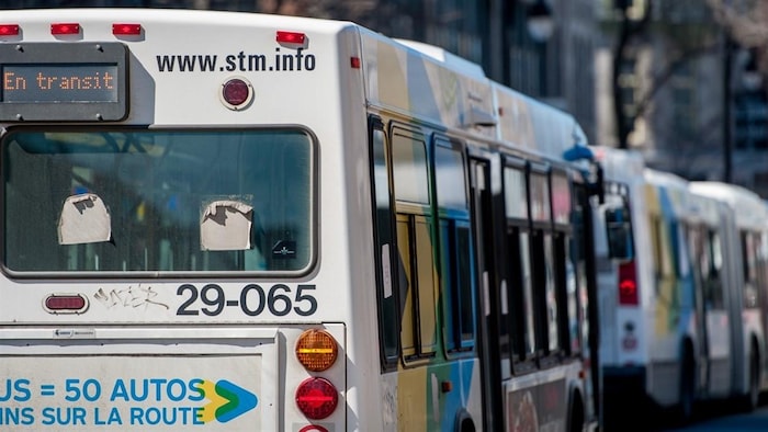 Des autobus de la Société de transport de Montréal