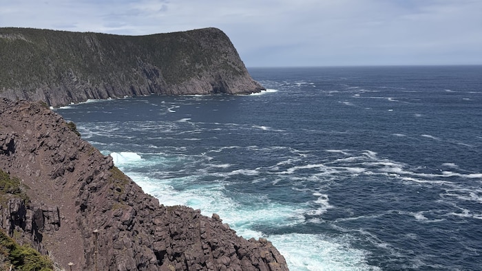 Une vue sur l'océan atlantique du sentier Sugarloaf de la East Coast Trail.