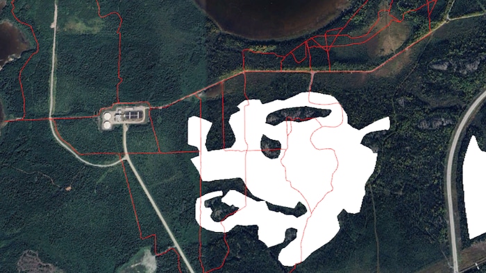 Vue sur Google Maps sur un territoire forestier.  