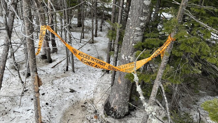 Un ruban de la Sûreté du Québec est accroché à un arbre dans un boisé