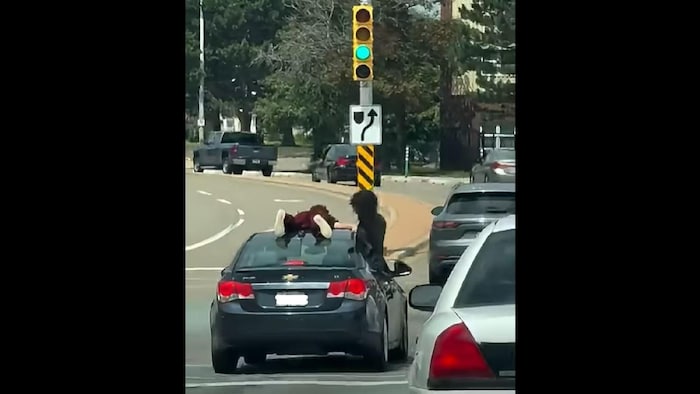 Un jeune sur le toit d'une voiture, un autre qui sort par la fenêtre.