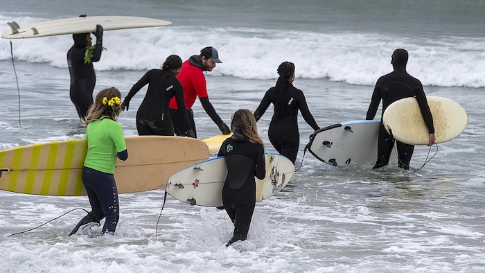 Un groupe de sept personnes transportant des planches de surf entrent dans l'océan.