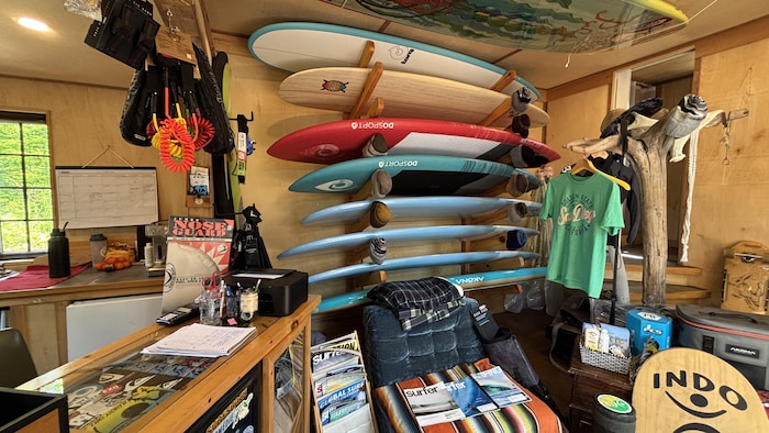 L'intérieur d'une cabane ou d'un magasin de surf montrant plusieurs planches de surf et de paddleboard rangées sur un support en bois fixé au mur, avec un comptoir au premier plan.