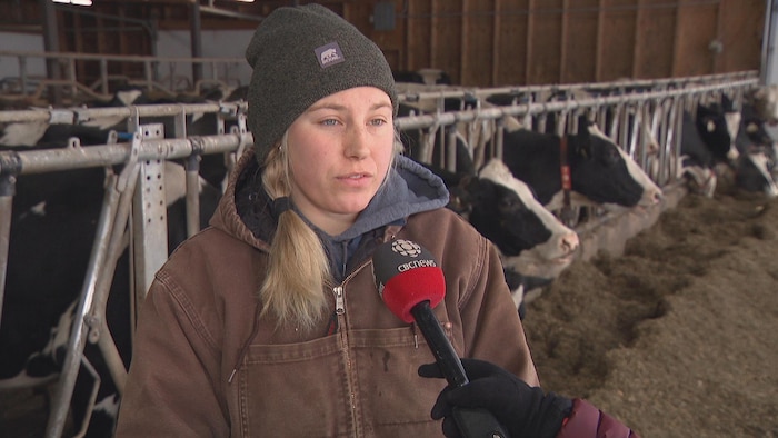 Une jeune femme dans une étable, devant une rangée de vaches. Elle a un micro de Radio-Canada pointé en sa direction.