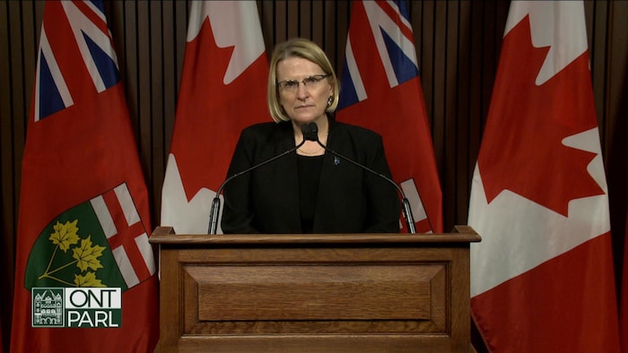 سيلفيا جونز تتحدث في مؤتمر صحفي واقفة خلف منبر ووراءها أعلام كندا وأونتاريو.